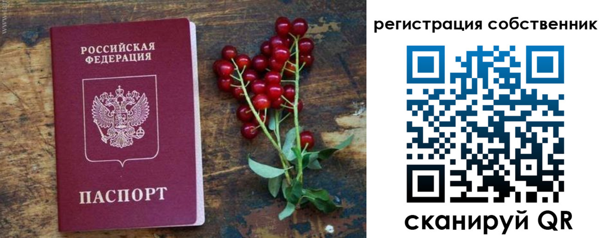 регистрация для дет. сада в Семилуках